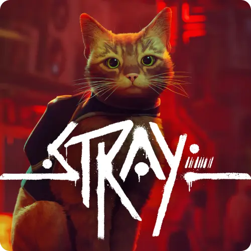 Stray TR Steam CD Key